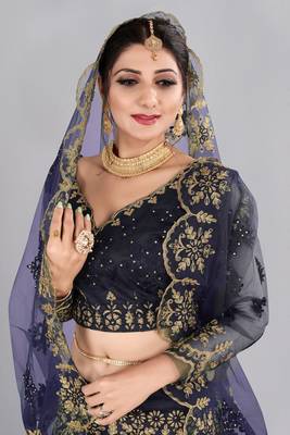 Blue Embroidery Net Designer Semi-Stitched Lehenga Choli 4