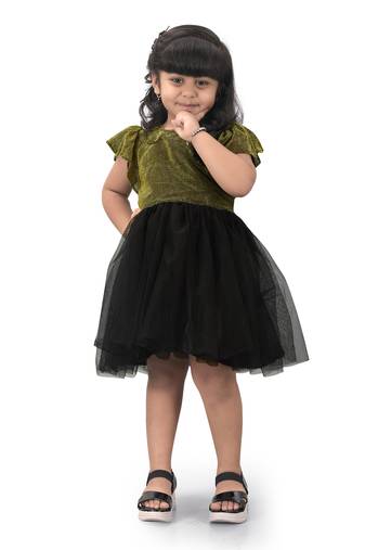 Shrithi fashion fab girls fit & flare fancy zari net dress