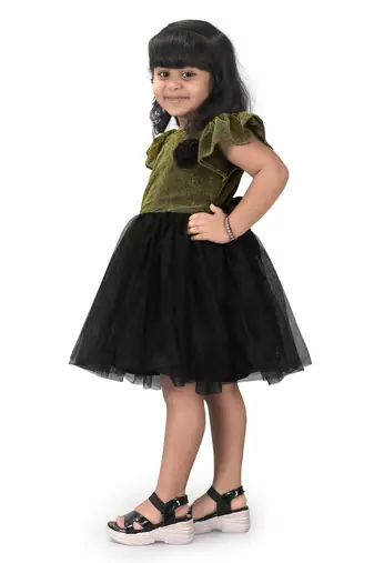 fit & flare fancy zari net dress For Girls