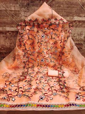 Women's peach chain stitched embrodiery with embroidered dupatta organza dress material 3