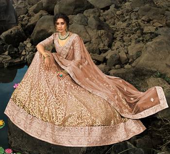 Brown Dori And Sequins Embroidered Net Semi Stitched Lehenga Choli For Wedding 5