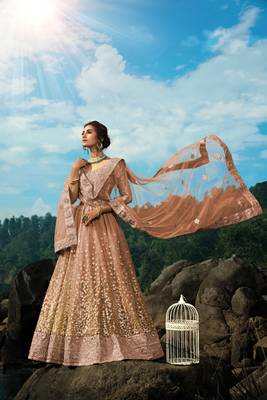 Brown Dori And Sequins Embroidered Net Semi Stitched Lehenga Choli For Wedding 6