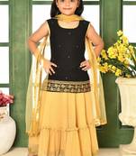 Black Embroidery Cotton_Silk A Line Lehenga Choli Dupatta