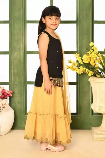 Black Embroidery Cotton_Silk A Line Lehenga Choli Dupatta