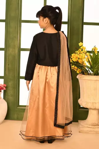 Black Embroidery Cotton_Silk A Line Lehenga Choli Dupatta