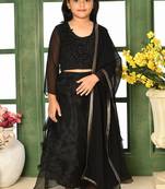 Black Embroidery Cotton_Silk A Line Lehenga Choli Dupatta