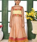 Cream Embroidery Net A Line Lehenga Choli Dupatta