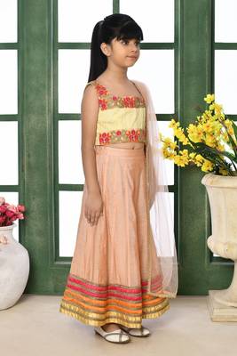 Cream Embroidery Net A Line Lehenga Choli Dupatta 2