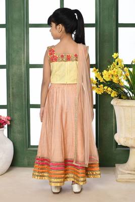 Cream Embroidery Net A Line Lehenga Choli Dupatta 3