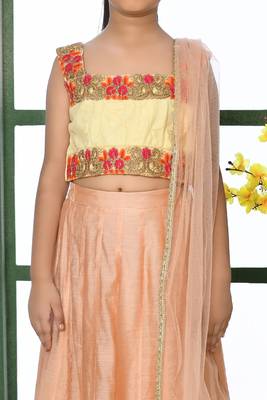 Cream Embroidery Net A Line Lehenga Choli Dupatta 4