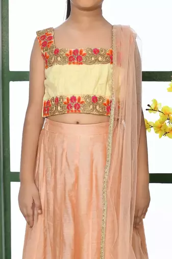 Cream Embroidery Net A Line Lehenga Choli Dupatta