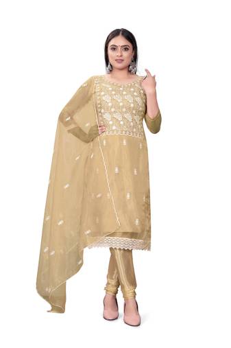 Beige Colour Ethnic Resham Work Organza Salwaar Kameez