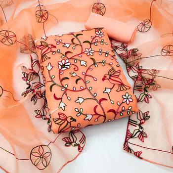 Women's peach chain stitched embrodiery with embroidered dupatta organza dress material 1