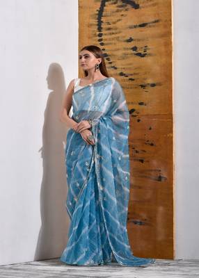 Powder Blue handcrafted Organza Tissue Saree 1