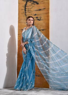 Powder Blue handcrafted Organza Tissue Saree 3