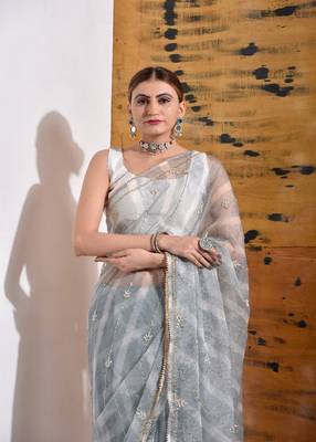 Grey handcrafted Organza Tissue Saree 2