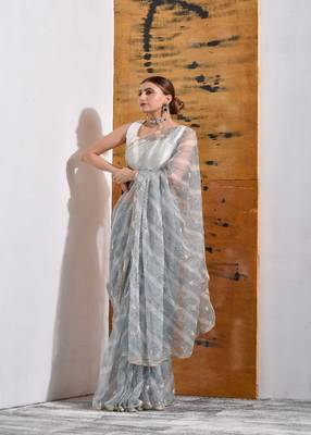 Grey handcrafted Organza Tissue Saree 3