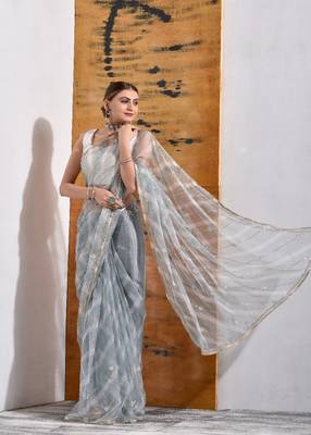 Grey handcrafted Organza Tissue Saree 5