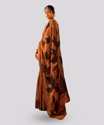 Gold Hoor Saree 2