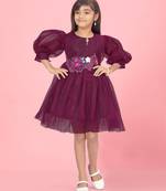 Aarika girls purple colour net glitter frock