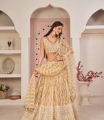 WOMEN'S BEIGE BUTTERFLY NET THREAD EMBROIDERED WORK LEHENGA CHOLI