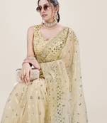 Yellow Net Saree With Silver Sequin Embroidery and Blouse