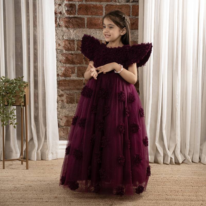 angel sleeves 3D Floral embellished Party wear Ball Gown for baby Girls - Wine