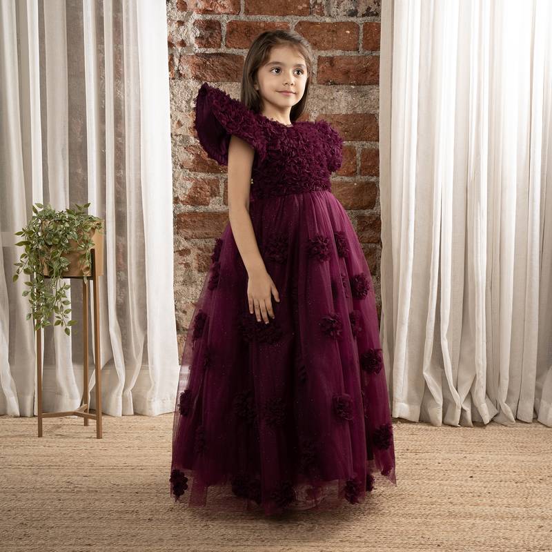 angel sleeves 3D Floral embellished Party wear Ball Gown for baby Girls - Wine