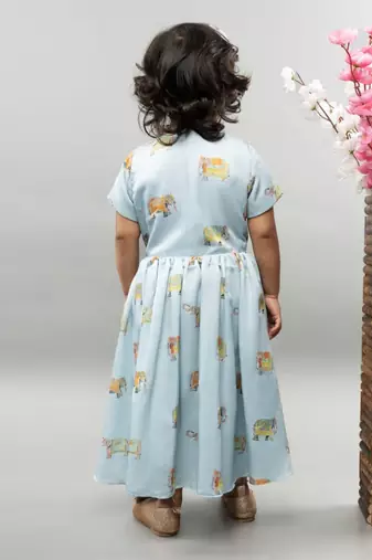 Powder blue elephant print front open gown