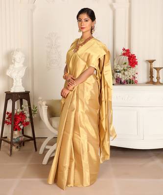 Gold handwoven zari tissue saree set 3