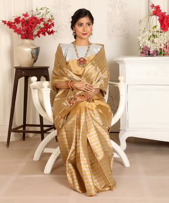 Gold zari tissue handwoven saree set 3