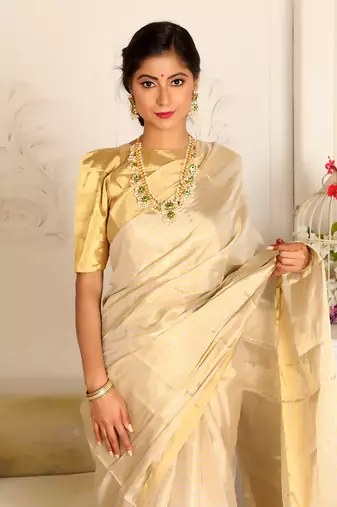 Gold zari tissue saree set