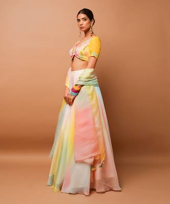 Rainbow Hand Painted Lehenga Set 2