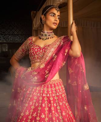 Rani Heavily Embroidered Lehenga Set 2