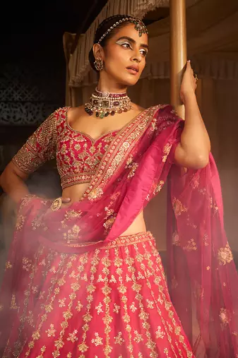 Rani Heavily Embroidered Lehenga Set