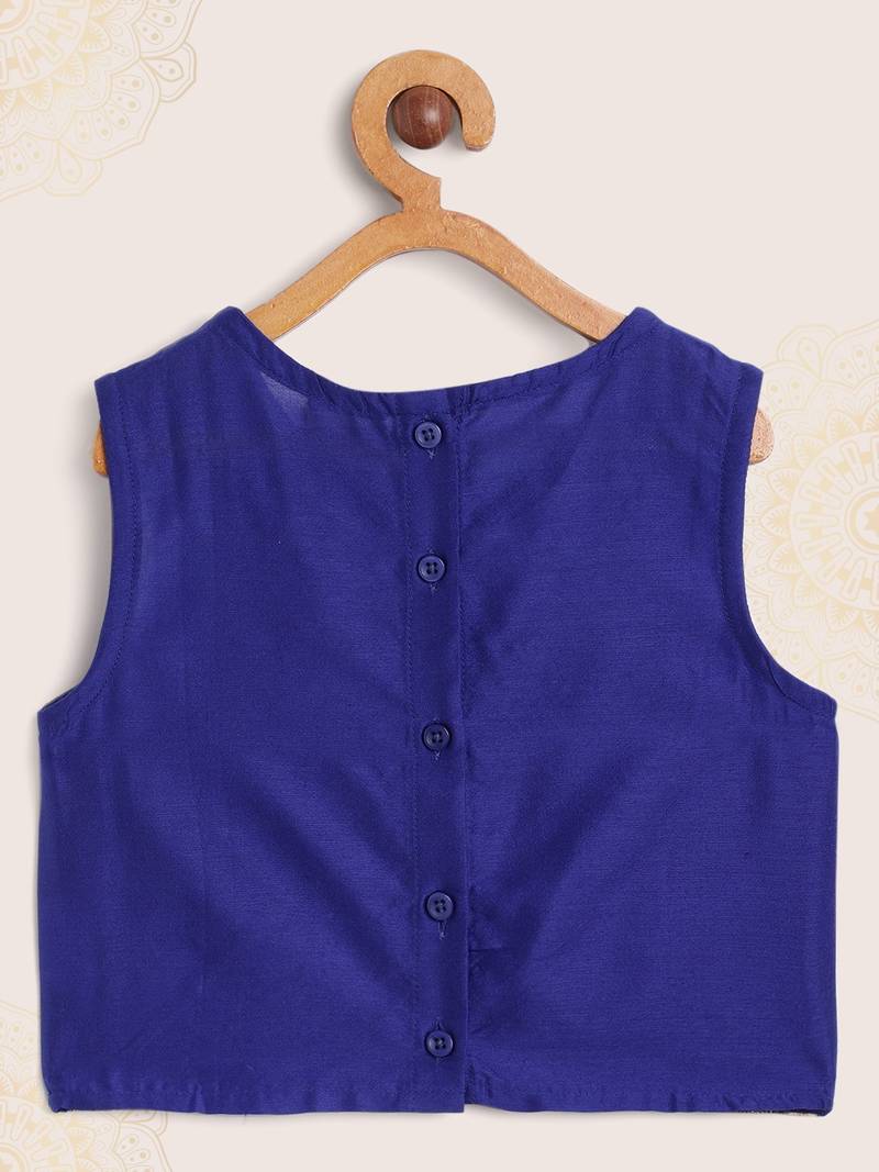 Embroidered Choli With Ghagra- Blue & Pink