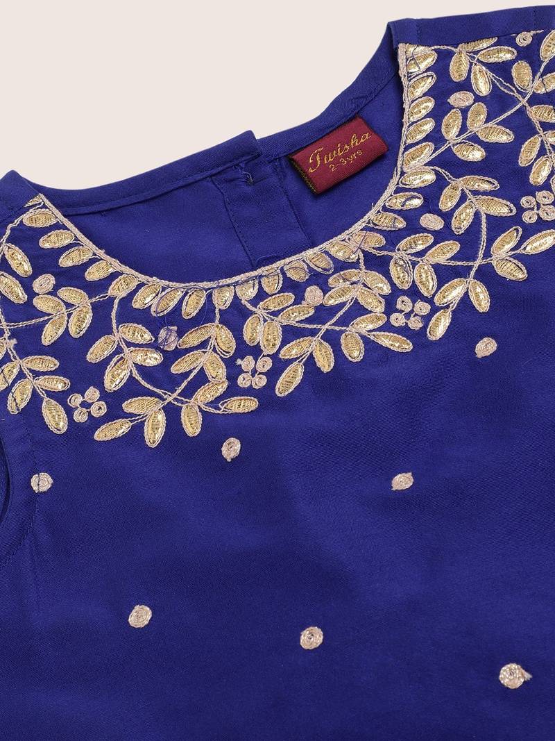 Embroidered Choli With Ghagra- Blue & Pink