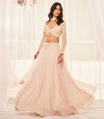 Dusty Beige Lehenga Set