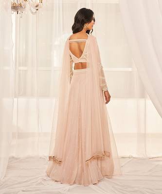 Dusty Beige Lehenga Set 4