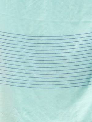 Sea Green Cotton Handwoven Saree With Stripes Pallu 5