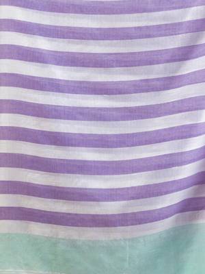 Violet And Mint Green Cotton Handwoven Half N Half Saree With Stripe Pattern 5