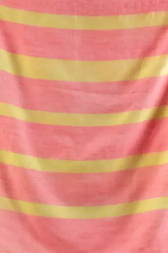 Multicolor Cotton Colorblocked Handwoven Soft Saree