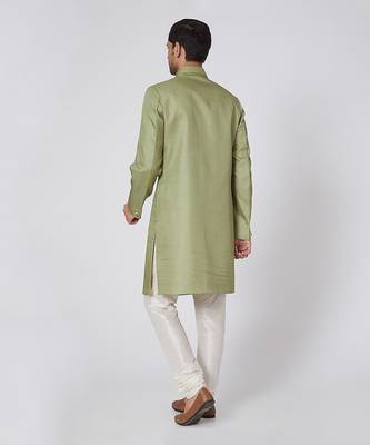 Parrot Green Achkan 2
