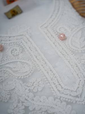 Handcrafted White Georgette Lucknowi Chikankari Indian Women Unstitched Suit Piece 2