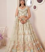 Fusionic white embroidered net lehenga-choli with blouse