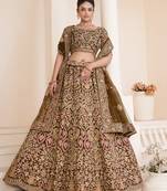 Fusionic beige embroidered net lehenga-choli with blouse