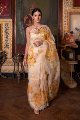   Beige Hand Painted  Pure Organza Saree 1