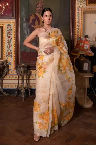   Beige Hand Painted  Pure Organza Saree