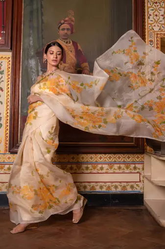   Beige Hand Painted  Pure Organza Saree