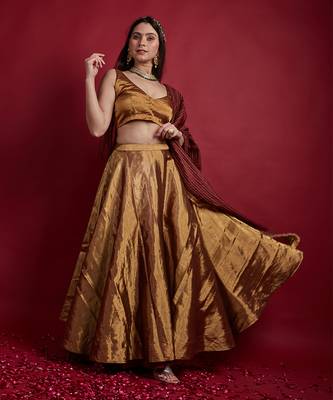 Gold Zari Lehanga Set 2
